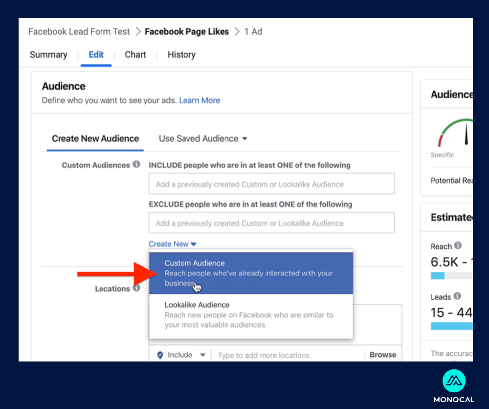 apa itu leads - lead gen custom audience